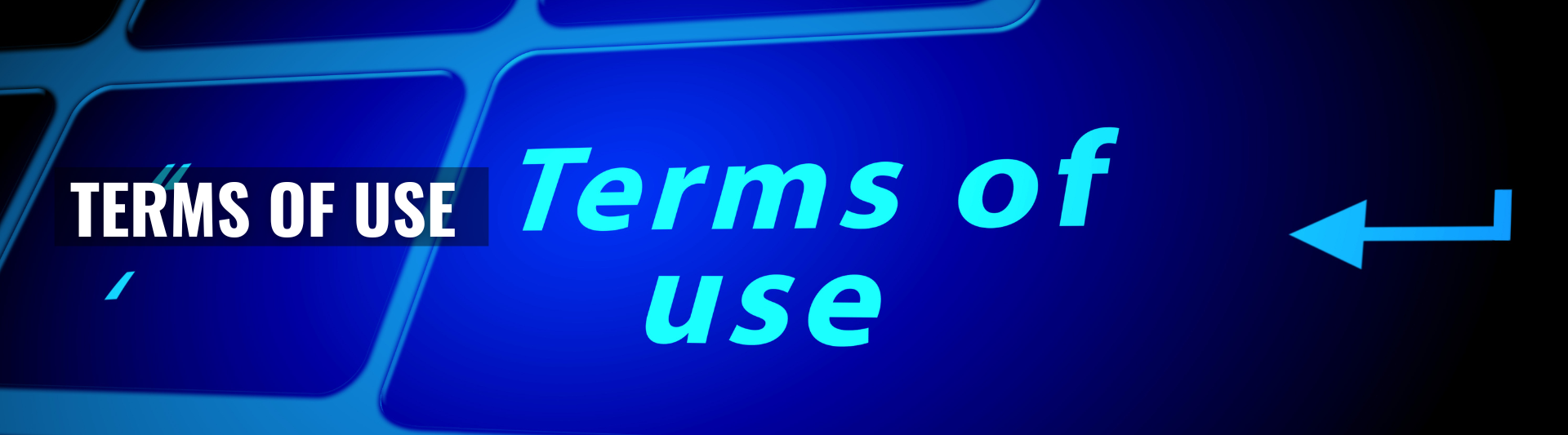 Website Terms of Use Policy