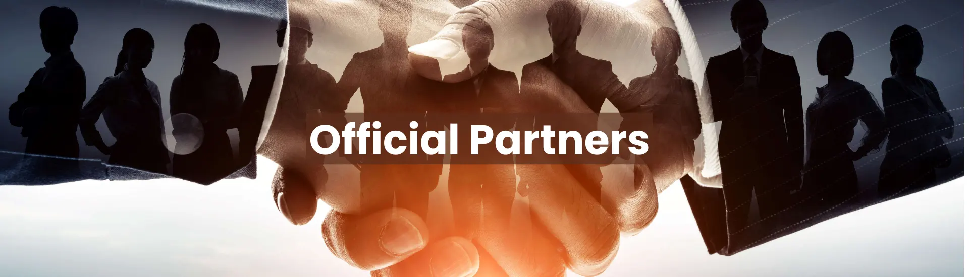 Enabling Mentoring - Official Partners